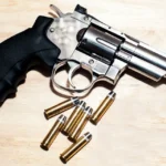 revolver 22 com balas