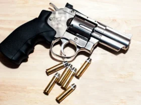 revolver 22 com balas